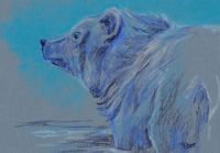 Blue Bear